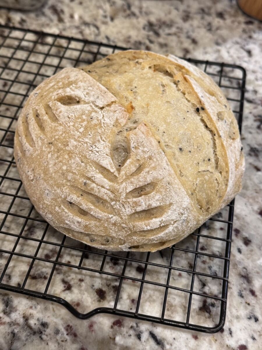 Wheat-scored loaf, fresh from the oven