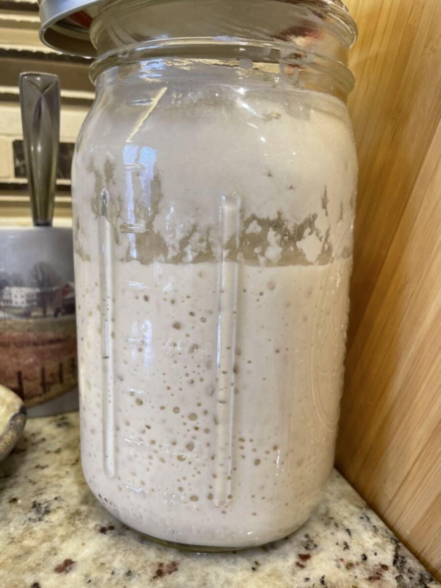 Bubbly, alive, and ready to bake
