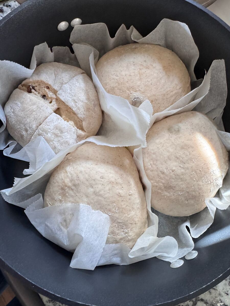 Shaped boules, ready for the oven